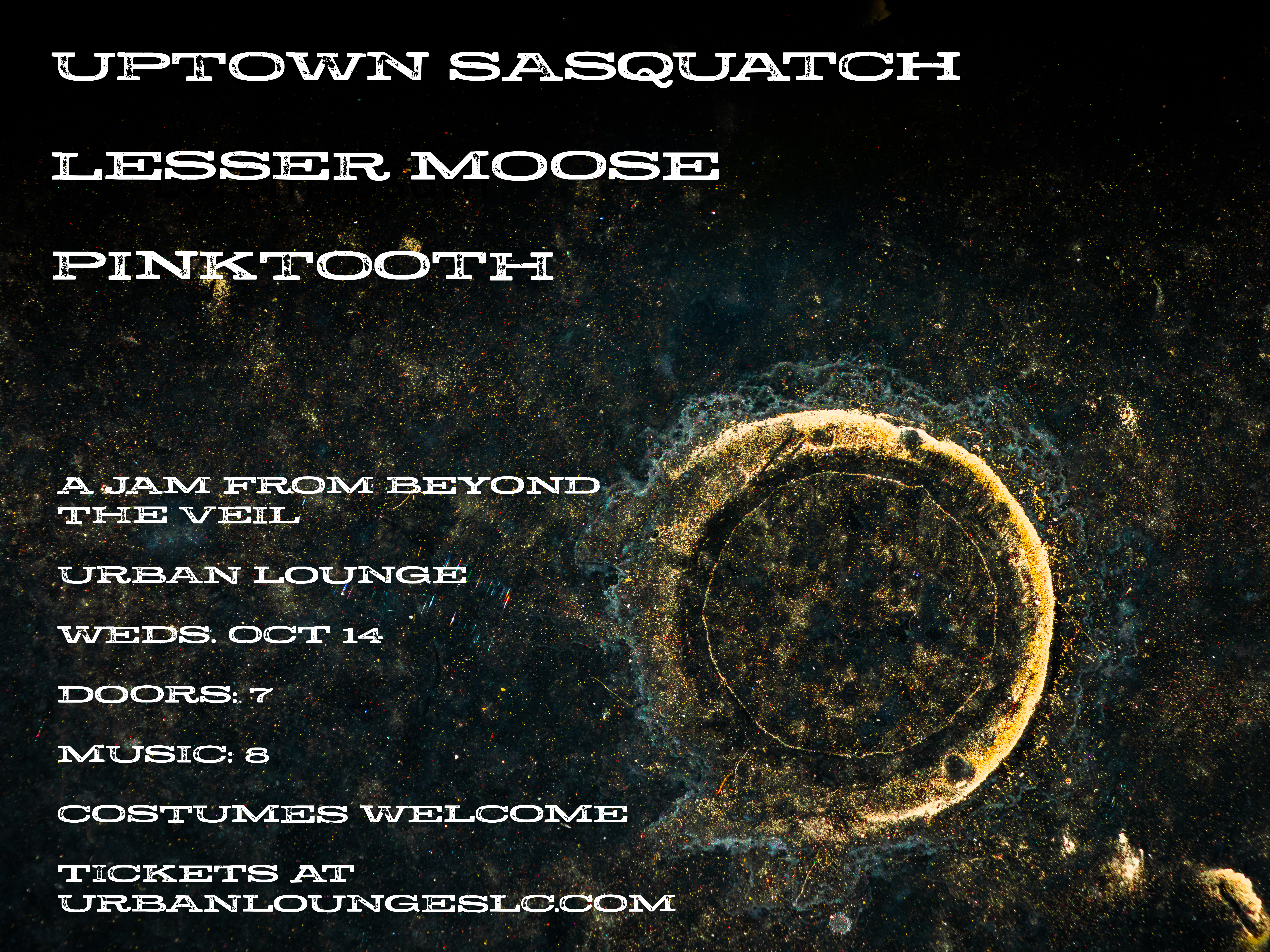 A Jam From Beyond the Veil: Music by Uptown Sasquatch, Lesser Moose, Pinktooth
