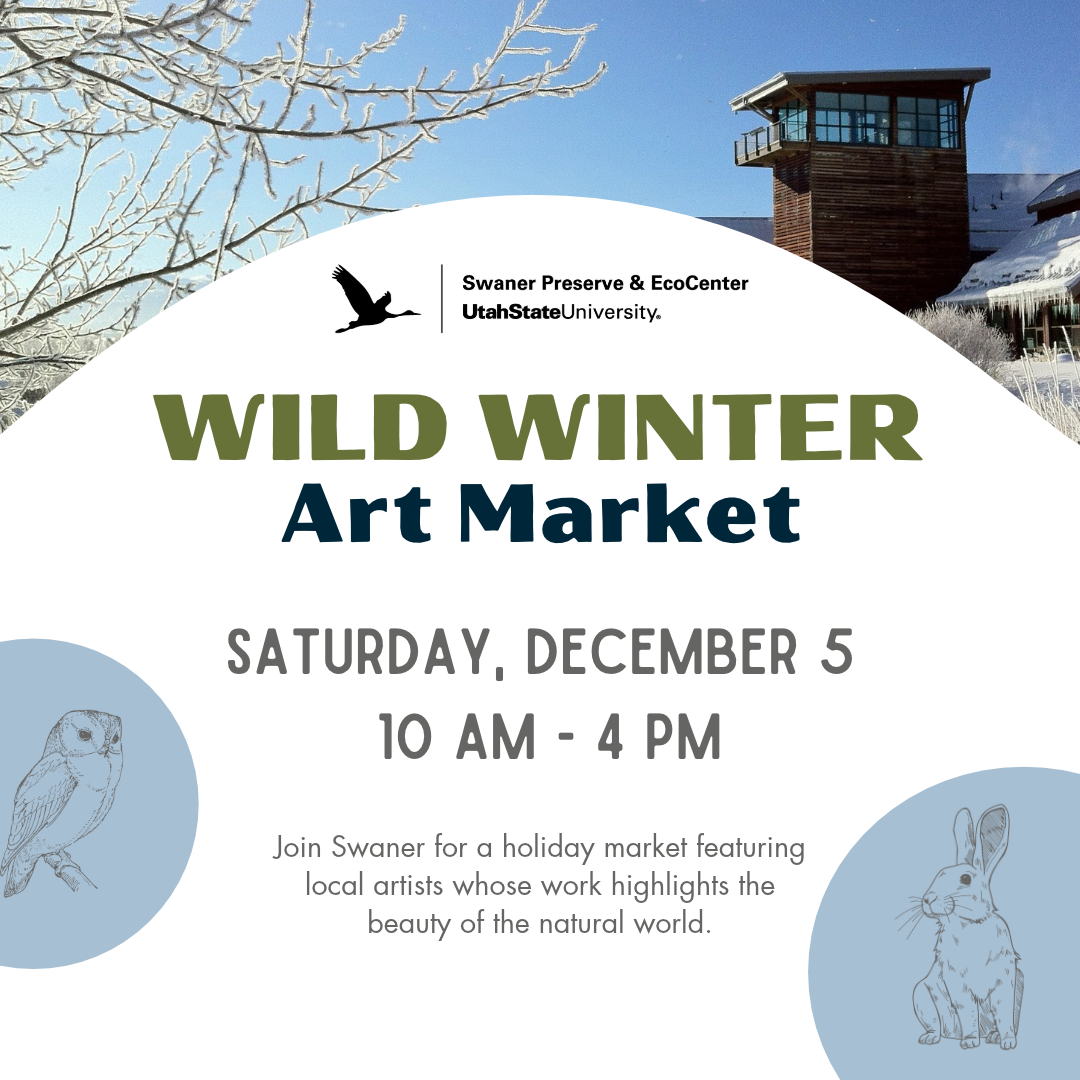 Wild Winter Art Market