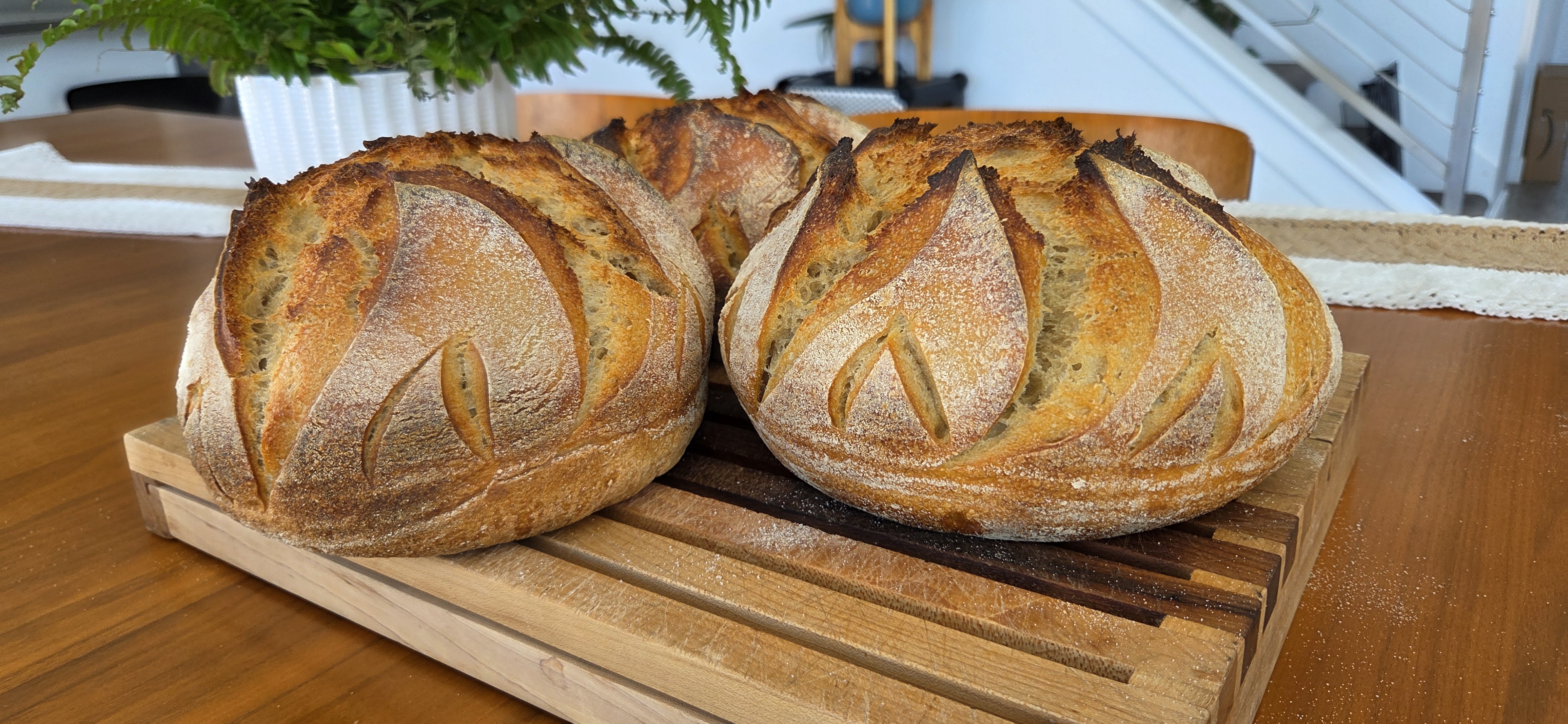 Sourdough Class at Athena VII with Mooon Bread